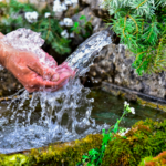 source d'eau qui jaillissent de la nature