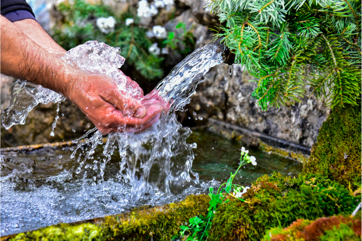 source d'eau qui jaillissent de la nature