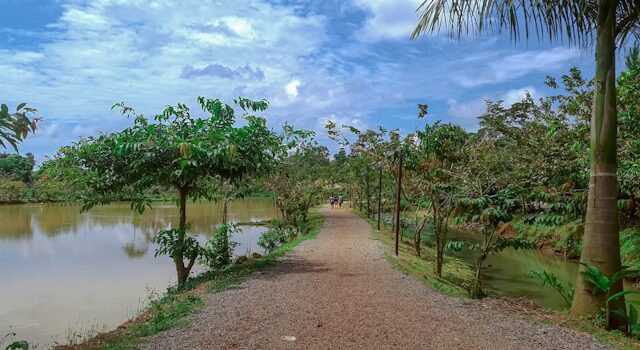 réserves naturelles du Cameroun