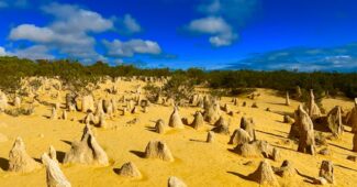 dunes du désert australien