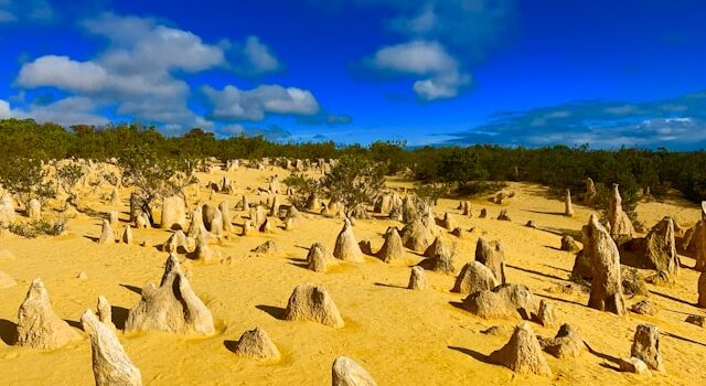 dunes du désert australien