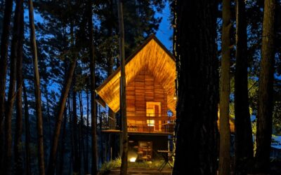 tiny house